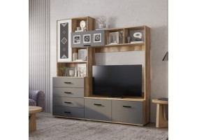 Центральная секция Вегас ЦС-03